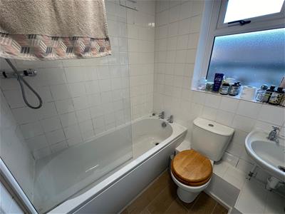 Picture 11